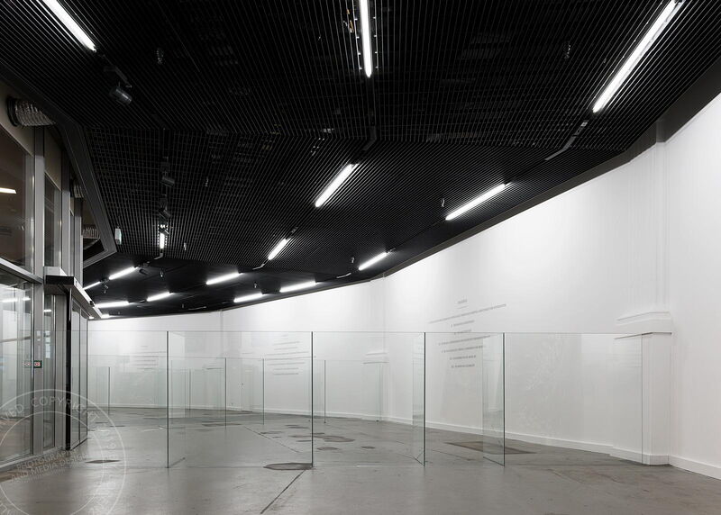 Daniela Schönbächler: «Obscure Transparency»