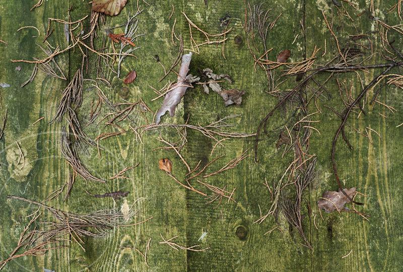 Der Lauf der Zeit – Begleitung zweier Installationen von Claudio Holdener.