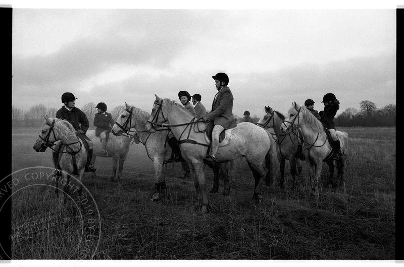 «deer hunting», Co. Meath, Irland